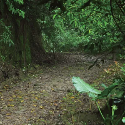 小粗坑古道