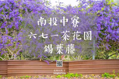 六七一茶花園