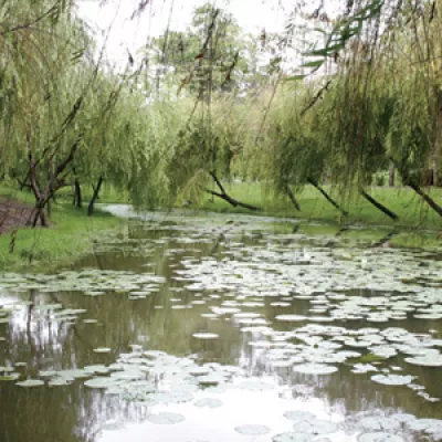 巴克禮紀念公園