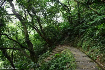 白鷺鷥山親山步道