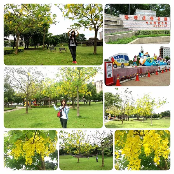 【桃園景點(diǎn)】金色迷戀黃金雨~桃園陽明公園阿勃勒        
      