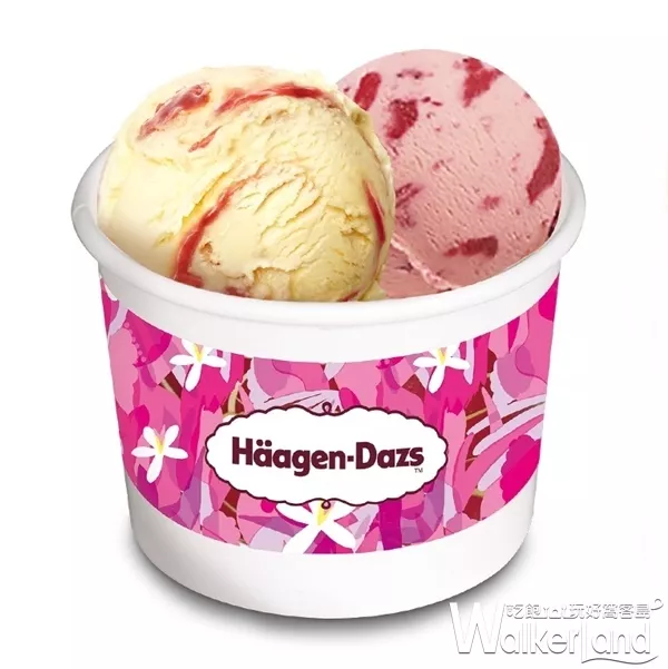 哈根達斯真的買一送一！甜點控先衝「H?agen-Dazs哈根達斯」買一送一優惠，連續12天要吃好吃滿。