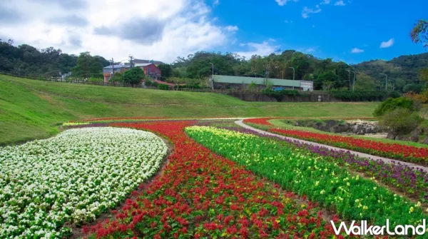 內湖人不想說的賞花新秘境！佔地420坪「大溝溪生態治水園區」打造出臺北市賞花秘境，大湖公園站步行15分鐘即可抵達。