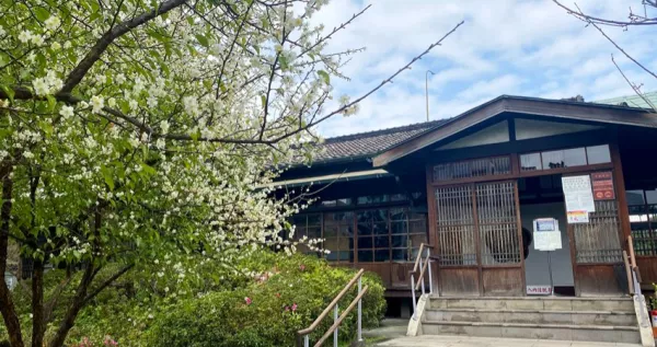 北車竟然有日式梅花園！夢幻日式梅花園「逸仙公園」偷偷綻放，「免費賞花景點」臺北人不要再路過。