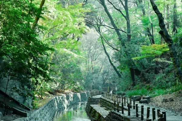 澀谷出發(fā)只要20分鐘！東京綠蔭角落「等等力溪谷」玩樂(lè)攻略先筆記，賞完美景搭車5分鐘再到「自由之丘」品嚐甜點(diǎn)。