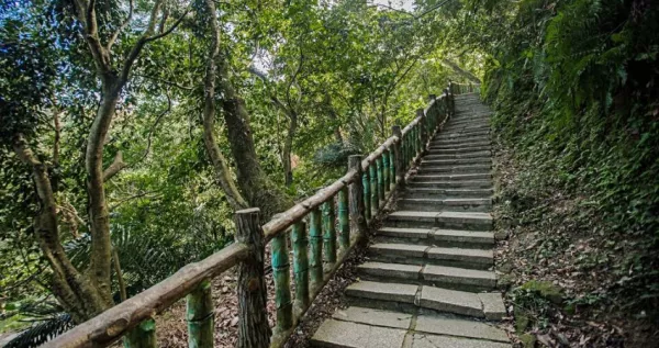 桃園人輕鬆攻頂！桃園後花園「石門山步道」重新整修更好走了，親子出遊直攻「石門山小百岳」眺望石門水庫的美。