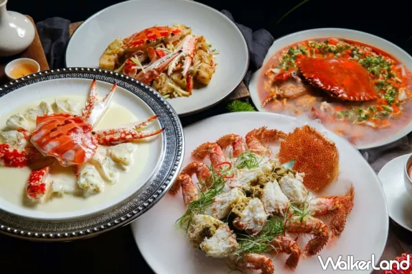 海鮮控搶先看！臺北晶華酒店晶華軒推出「秋蟹饗宴」11道秋蟹料理，首推潮式花雕凍毛蟹、生拆膏蟹燴麻婆豆腐、花雕蛋白蒸花蟹，搶攻秋蟹必吃清單。