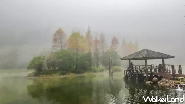 山林旅行首選！力麗馬告生態(tài)園區(qū)推出「熱情回饋．馬告迎客」優(yōu)惠專案，入住棲蘭山莊或明池山莊一晚，即可享「續(xù)住」零元優(yōu)惠。