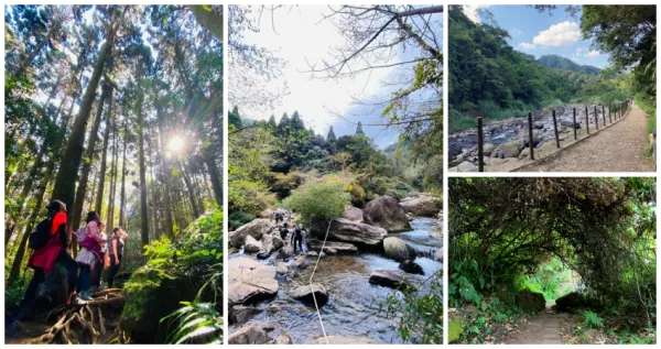 苗栗避暑聖地不藏私！7大清涼系「苗栗避暑步道」夏日衝一波，晶瑩溪流「護(hù)魚步道」、漫步雲(yún)海「加里山步道」，涼爽仙境等你來探訪。