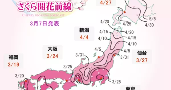 2024日本櫻花預測來了！日本全國「賞櫻景點開花日」最新大公開，「3大櫻花預測網(wǎng)站圖表」一次看，3/18東京預期最快開花。