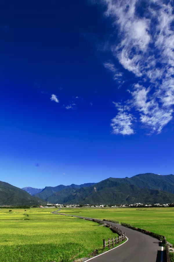 TaipeiWalker 宜花東特刊：臺東縣池上鄉翠綠寧靜鄉野間的國際美景