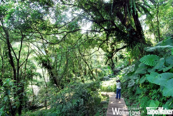 TaipeiWalker 宜花東特刊：太平山森林賞景 遊夢幻湖泊唯美車站