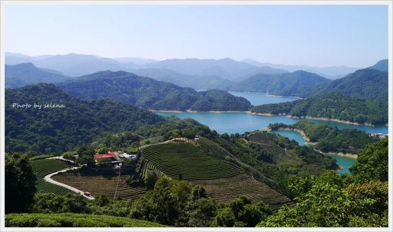 【石碇秘境】臺灣千島湖。潭腰。八卦茶園