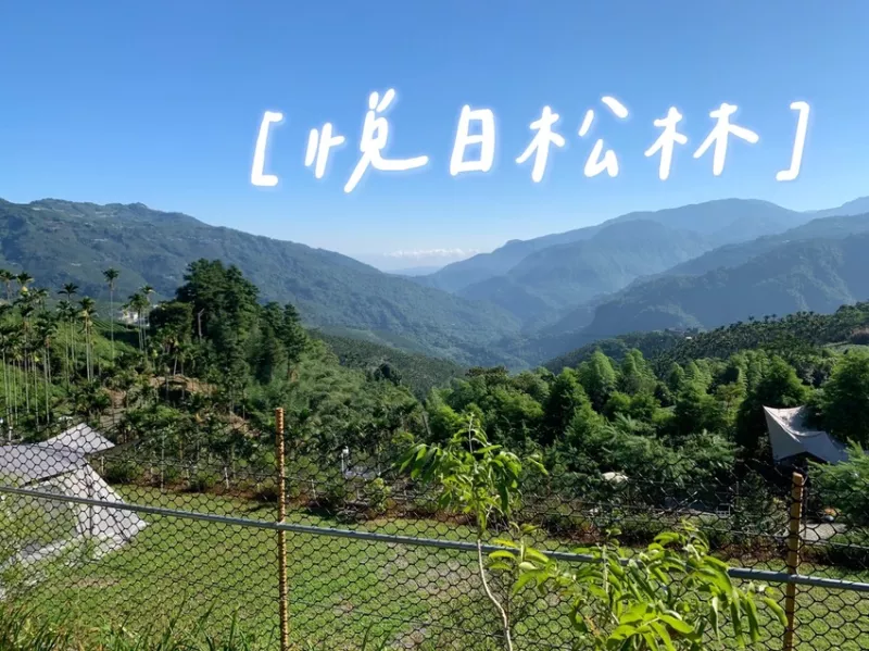 【嘉義梅山】悅日松林 體驗被茶園圍繞│山嵐美景 │露營區│五星級廁所│阿里山