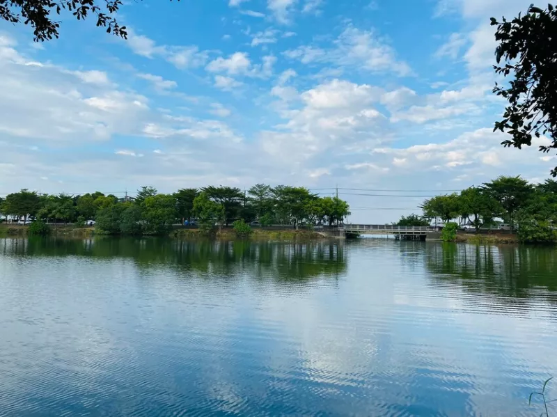 【臺南。官田旅遊】「官田菱角節」活動∣體驗菱田花影採菱樂菱角文化風情∣順遊葫蘆埤自然生態公園∣