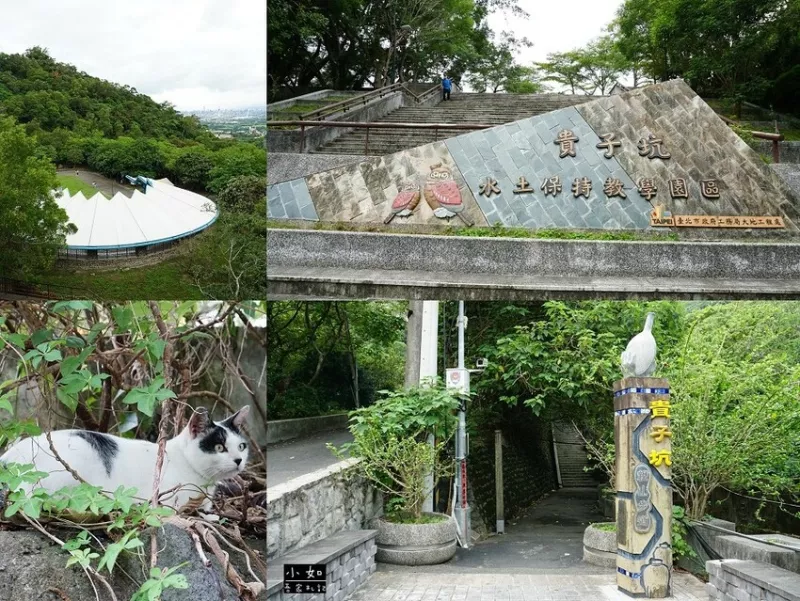 【北投步道】貴子坑步道,環(huán)狀步道,經(jīng)過臺(tái)北大縱走的北字,環(huán)境清幽漫步情人湖！