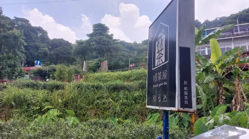 貓空找茶屋 偶遇響雷大雨 空氣更清新