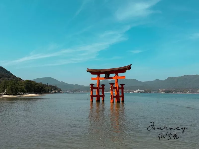 【日本．廣島】宮島一日遊-嚴島神社賞櫻，小鹿在島上悠閒散步，搭渡輪交通吃廣島大牡蠣