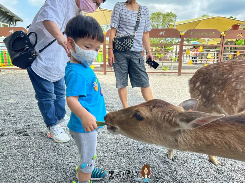 宜蘭斑比山丘︱餵小鹿跟水豚君〃親子景點