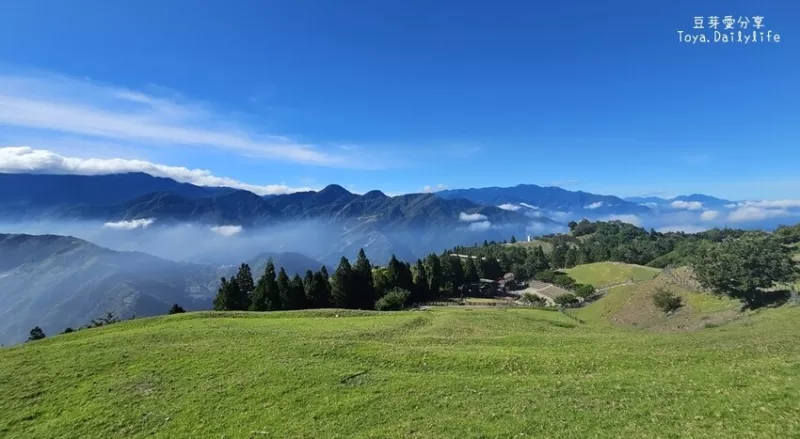 清境農場｜青青草原看綿羊秀及馬術秀 . 走走天空步道 . 逛逛小瑞士花園 🌱豆芽愛玩在南投