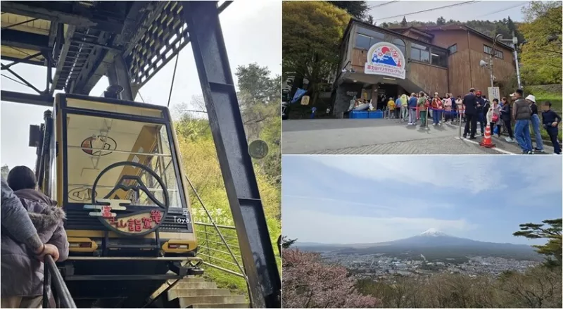 河口湖天上山公園｜ 搭纜車到天上山公園看富士山及河口湖美景🌱豆芽出國趣日本