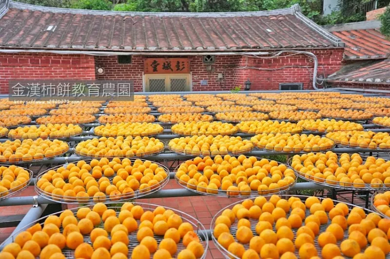 新埔-金漢杮餅教育農(nóng)園?秋意濃柿子紅?三合院前曬柿子?免門票?不同的親子活動