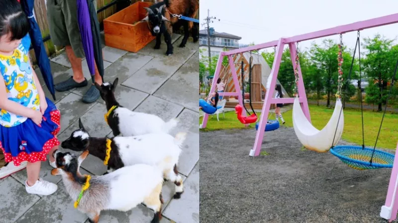 宜蘭最新夢幻餵動物園區，還有盪鞦韆、劃船區，超好玩親子同遊景點推薦~