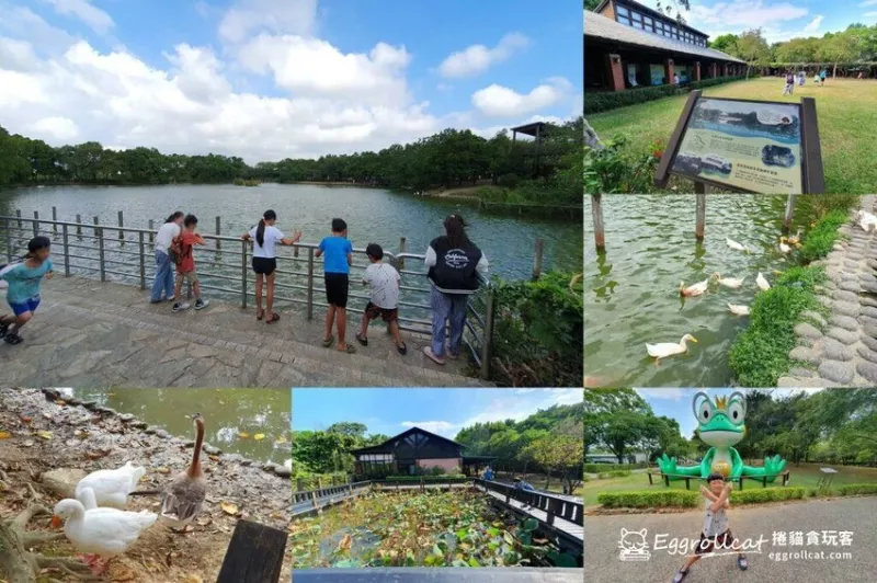 【桃園景點】八德埤塘生態公園/生態埤塘森林步道-餵鴨、餵魚，免費親子好去處 - 捲貓貪玩客