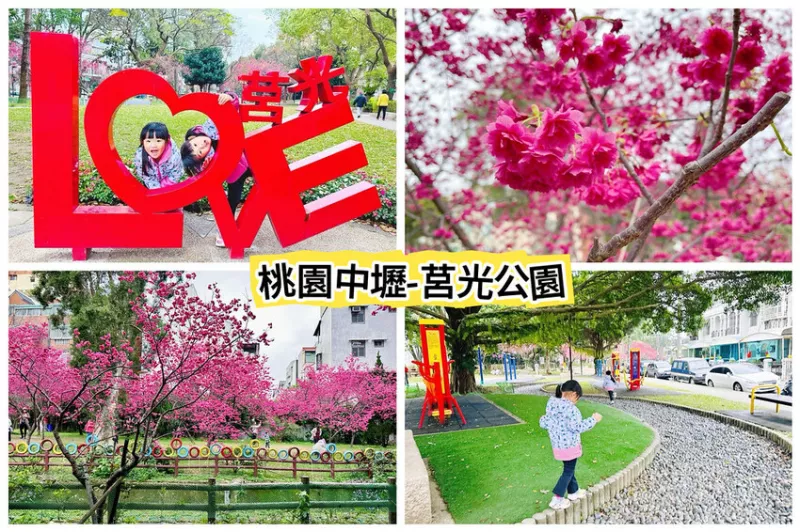 ★桃園景點★ 莒光環保公園，平地就有超美賞櫻點，八重櫻滿開了!