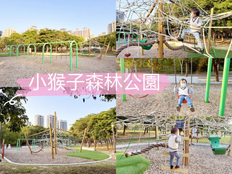 小猴子森林公園。公25公園。小竹繪本主題遊戲場。九個盪鞦韆一次坐好坐滿，原木攀爬架充滿挑戰，看孩子們大展身手