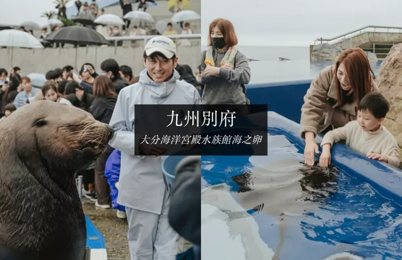 日本九州別府》別府雨備行程！令人驚豔的海洋動物互動水族館_海之卵水族館