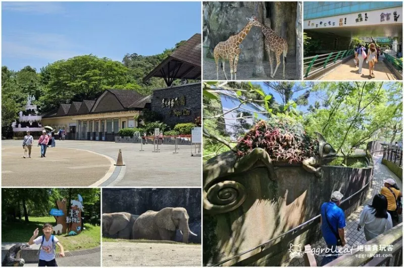 【臺北景點】木柵動物園-臺北親子木柵一日遊景點必玩/昆蟲館、爬蟲館、穿山甲館/臺北市立動物園+貓空纜車 - 捲貓貪玩客