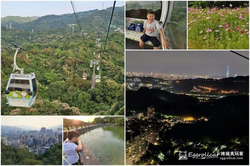 【臺北景點】臺北木柵貓空纜車-樟樹步道?不是魯冰是花海，親子一日遊 - 捲貓貪玩客