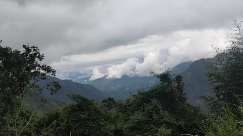 【遊記】不期而遇的踏雨游溪，老鷹溪步道 - 大漠國渡