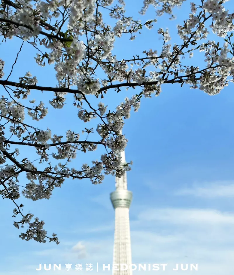 這趟東京賞櫻之旅簡直太完美！四月初正是櫻花最美的時刻，分享五個超推薦的東京賞櫻地點(diǎn)，每一處都讓人流連忘返。