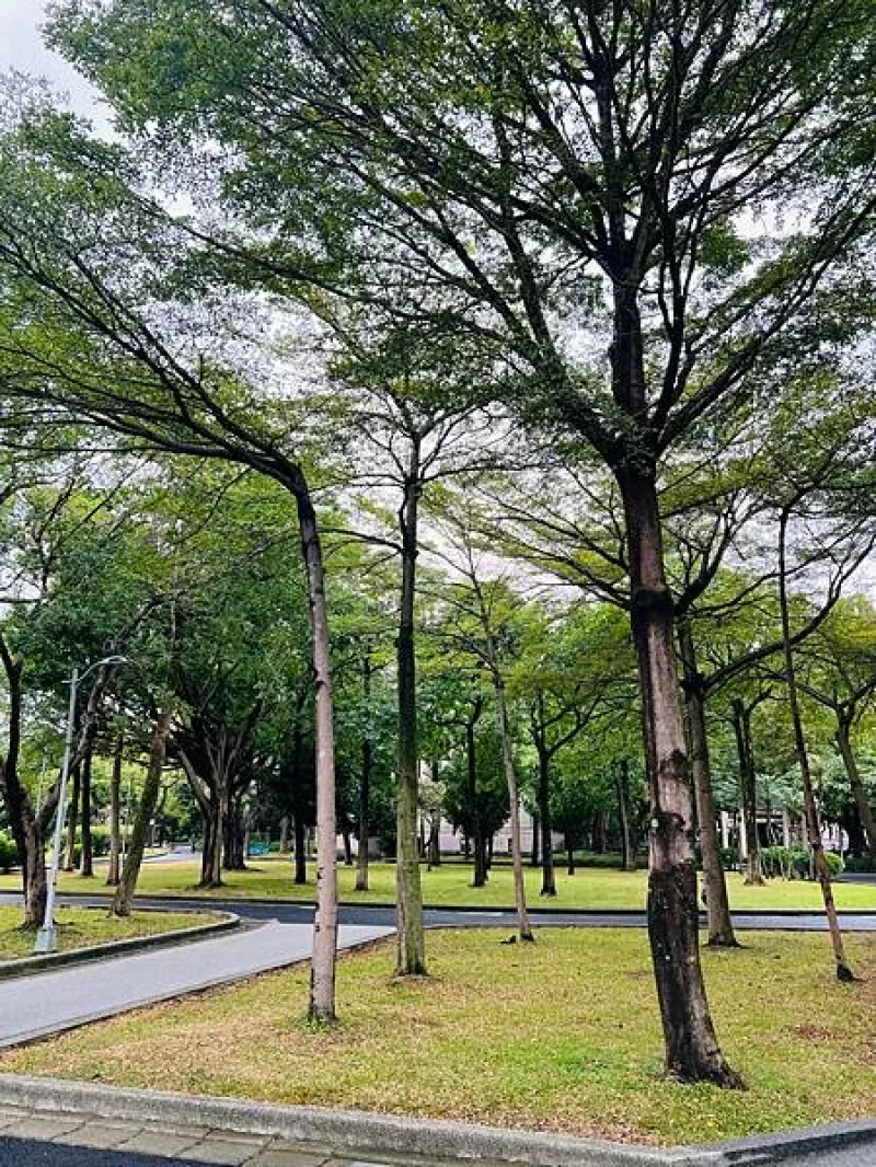 臺灣博物館本館。古生物館：天氣炎熱、雨天可以去的室內(nèi)景點(diǎn)，適合一家大小親子同遊