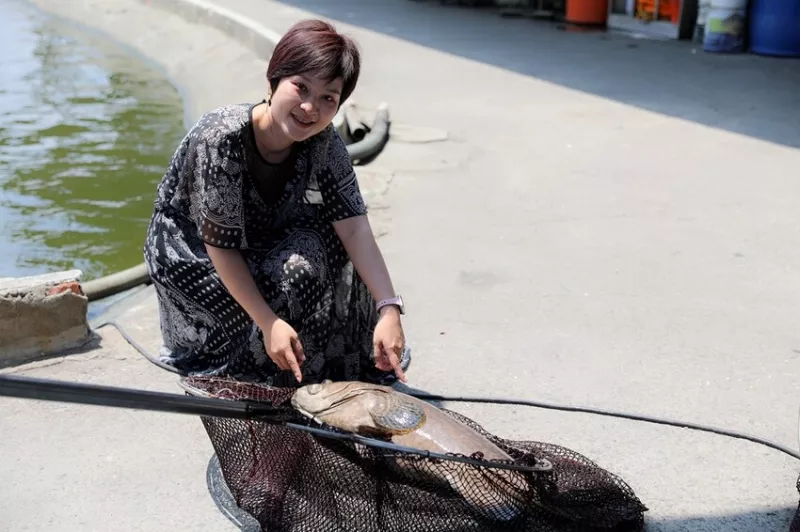 桃園市中壢區龍來海釣場｜體驗釣魚樂 網友推薦北部高CP值好玩釣場(桃園蘆竹專業海釣場推薦)