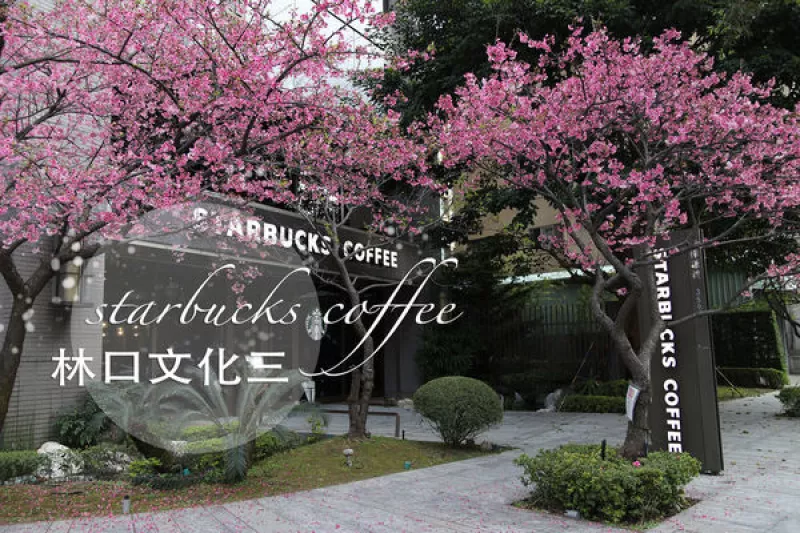 新北林口｜Starbucks星巴克 林口文化三門市｜季節(jié)限定浪漫春日的櫻花門市