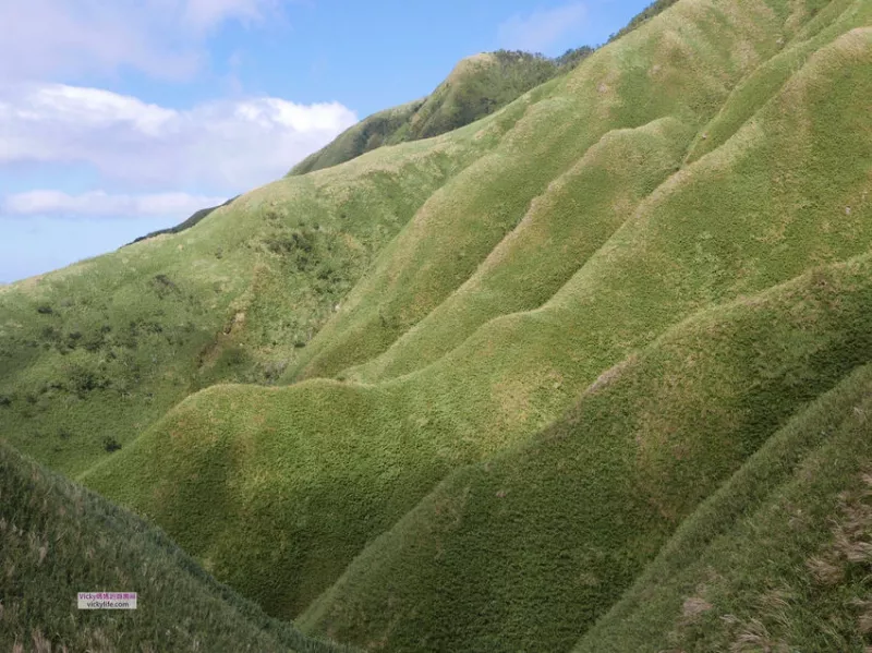 抹茶山︱宜蘭礁溪：親臨抹茶山，體驗山川之美，聖母登山步道和抹茶山一樣令人著迷