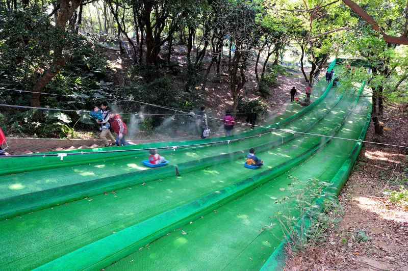 苗栗竹南【四方鮮乳牧場】苗栗親子遊景點推薦、滑草場、餵小牛體驗