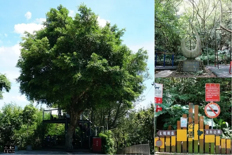 【新莊步道】青年公園步道?可觀鷹觀景臺(tái)?從樟腦寮步道回來?健行運(yùn)動(dòng)都適合！