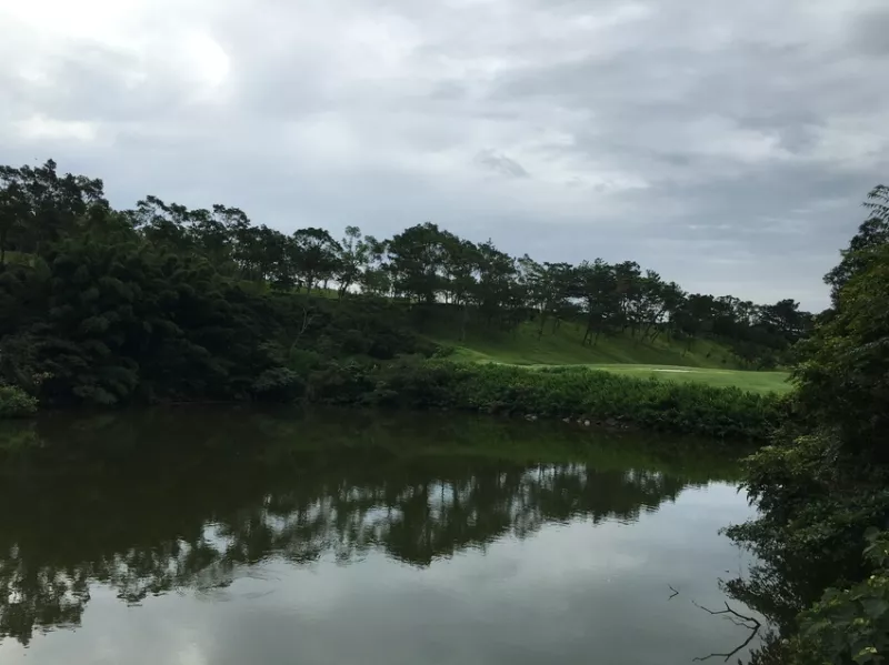 林口美食地圖福豆食堂新開幕