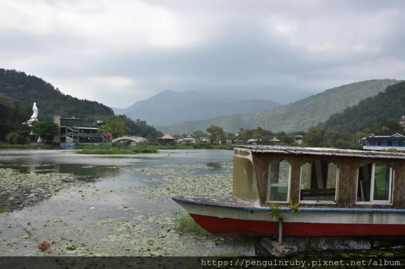 臺灣◆南投｜埔里- 陰陰天光 鯉魚不停跳躍的鯉魚潭