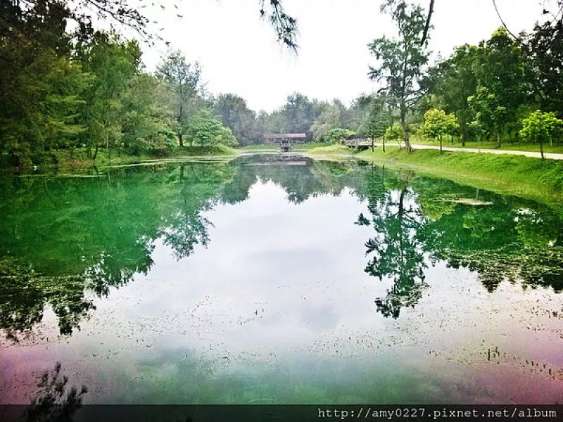 [ 臺東市區 ] 媲美國外的人間仙境 - 臺東森林公園琵琶湖