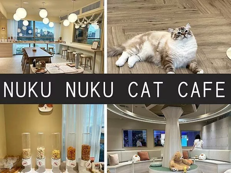 【臺北】NUKU NUKU CAT CAFE｜一邊嚕貓一邊賞夜景，計時制貓咪咖啡廳｜柴貓趴趴走