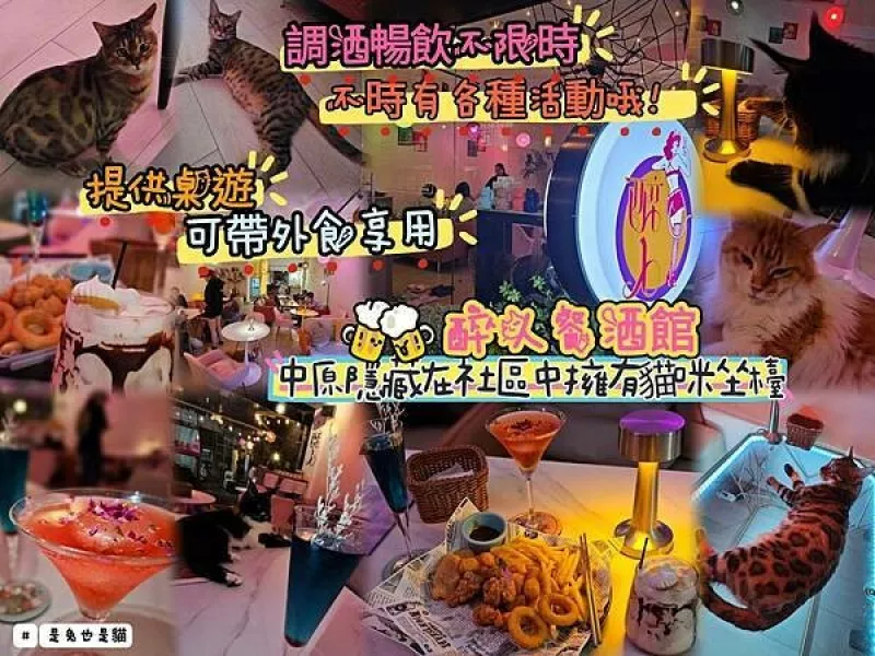 中原隱藏在社區中的擁有貓咪坐檯的醉人餐酒館，調酒暢飲不限時還可以帶外食享用，店內有提供桌遊不時還會有各種活動哦！