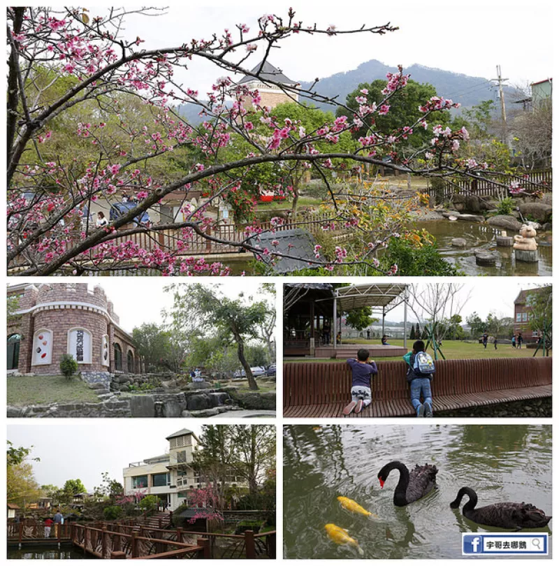 【宇哥去苗栗】大湖的巧克力雲(yún)莊，是景觀餐廳也是親子餐廳，粉紅色的櫻花好美~建築物也好美好好拍，有黑天鵝/鴛鴦/錦鯉魚/大草皮/巧克力DIY，適合各年齡層來走走逛逛拍拍美照