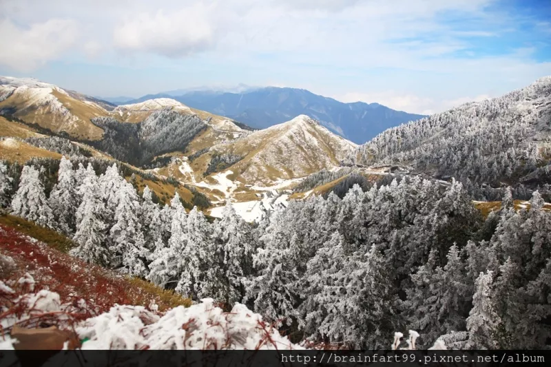 【南投?仁愛】合歡山白了頭，雪景一點都不輸歐洲阿!!!