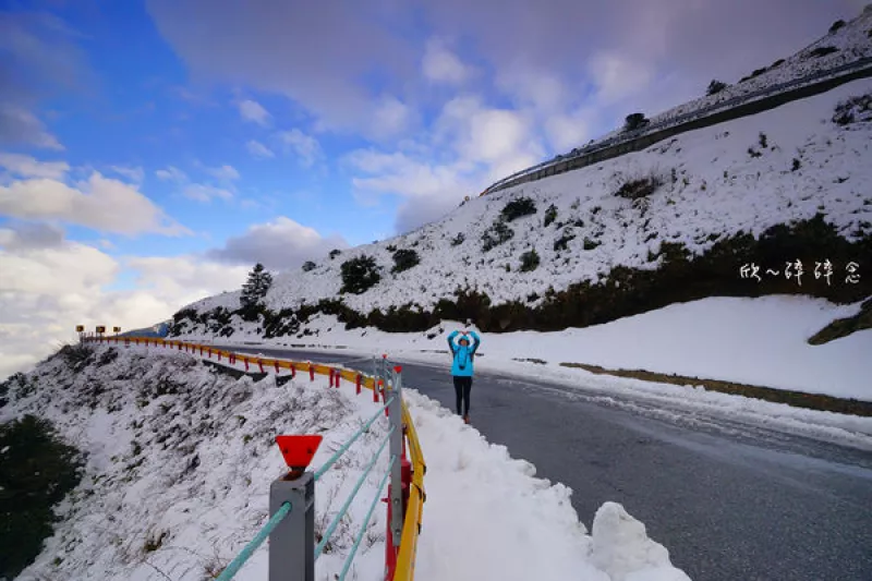 【南投】臺14甲線合歡山賞雪去，從大禹嶺至合歡山莊白雪皚皚