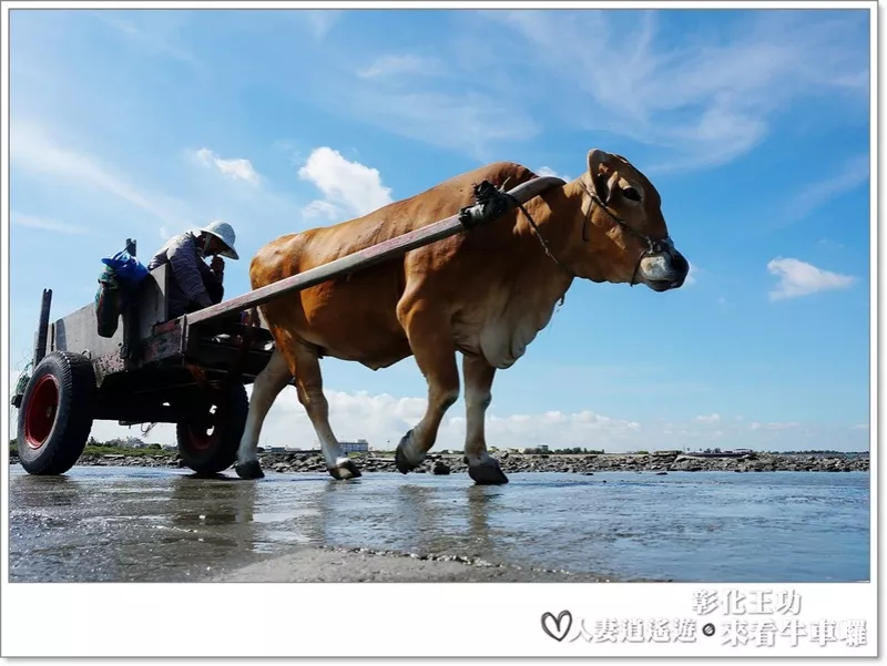 丫頭遊記_假日就該這樣玩~~來王功看海看天看牛車!!